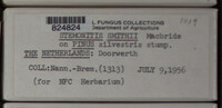 Image Associated With the Occurence